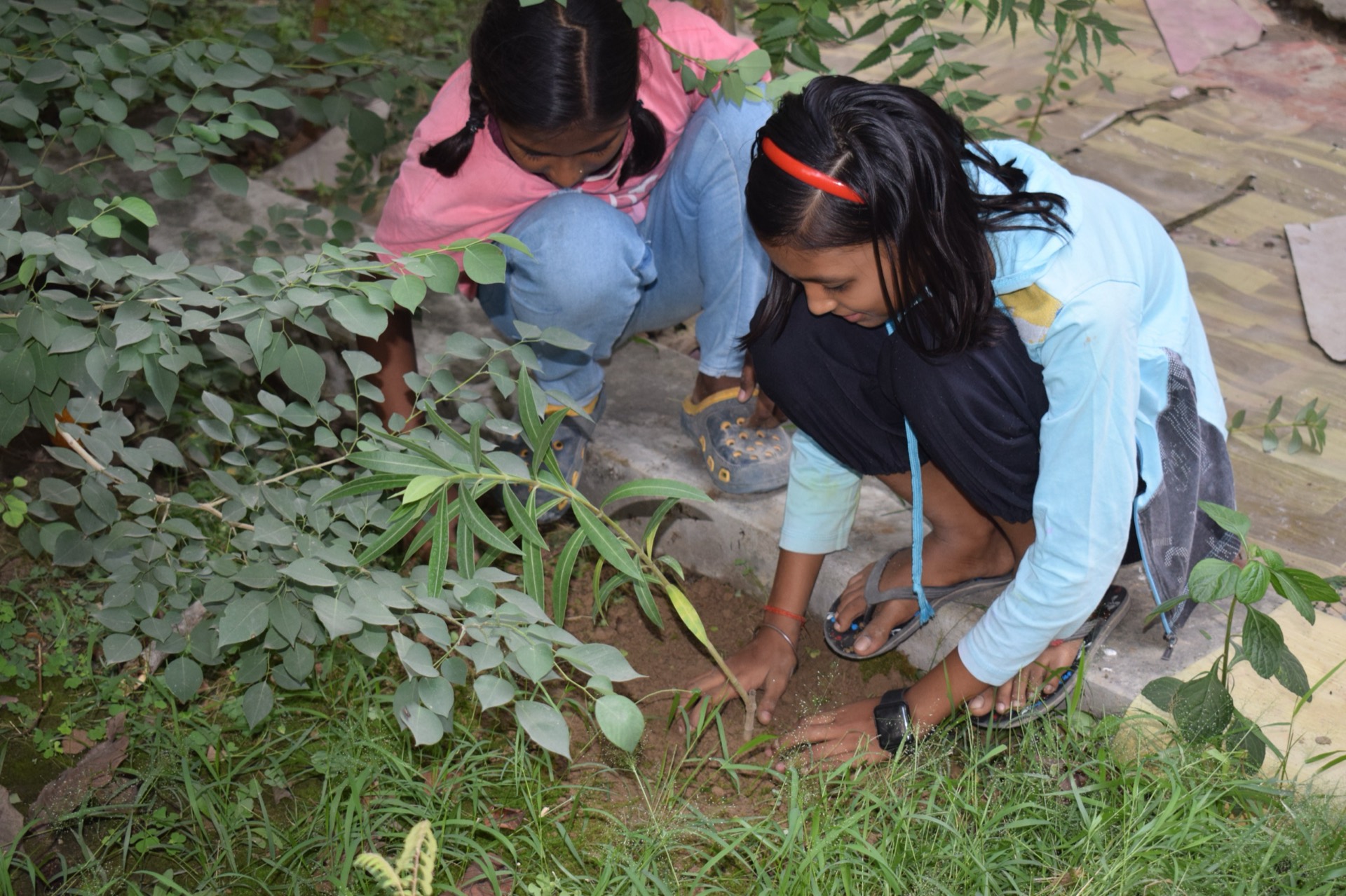 Ashraya Paryavaran Sewa